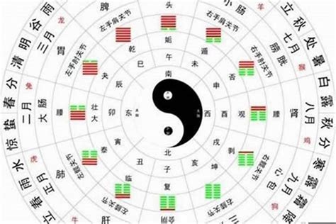 生辰八字陰陽|【八字陰陽怎麼看】免費八字陰陽查詢，一看你的生辰八字是純陰。